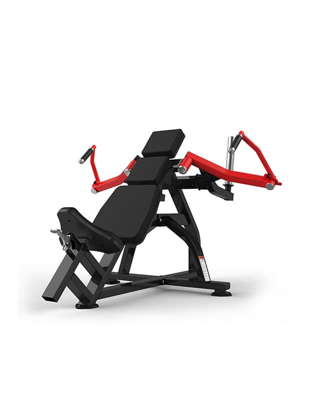Pectoral Fly & Rear Delt