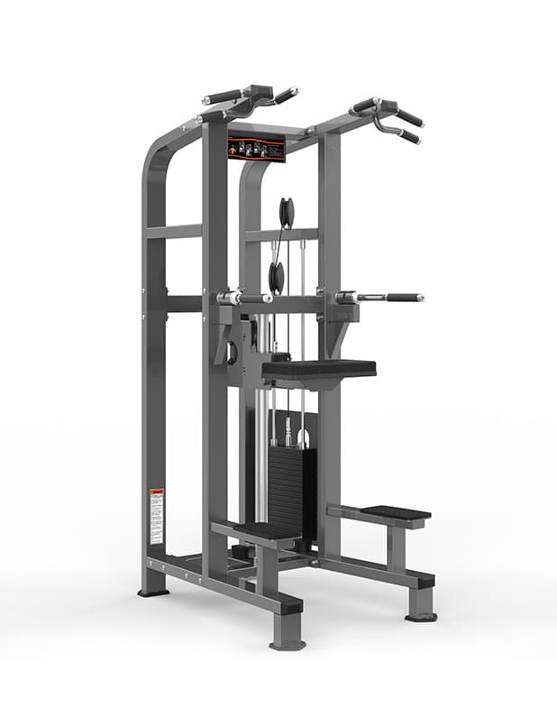 Assisted Chin-Up & Dip Station