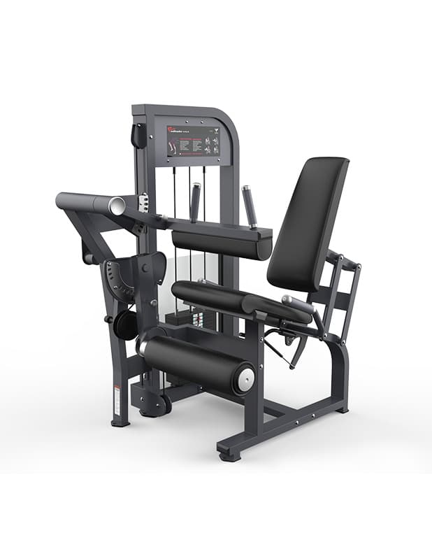 Leg Extension & Seated Leg Curl Combo