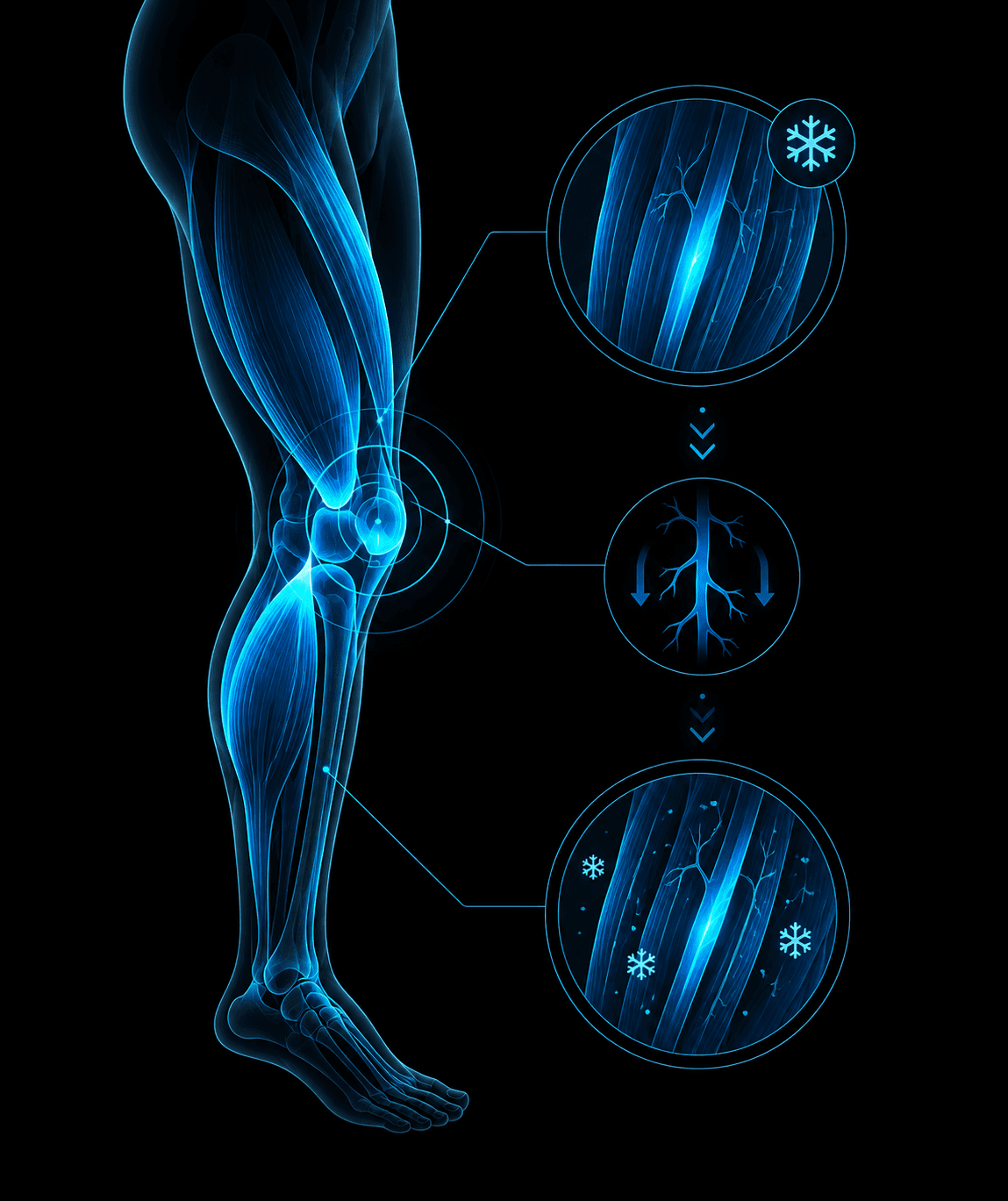 Ice Bath Recovery Science